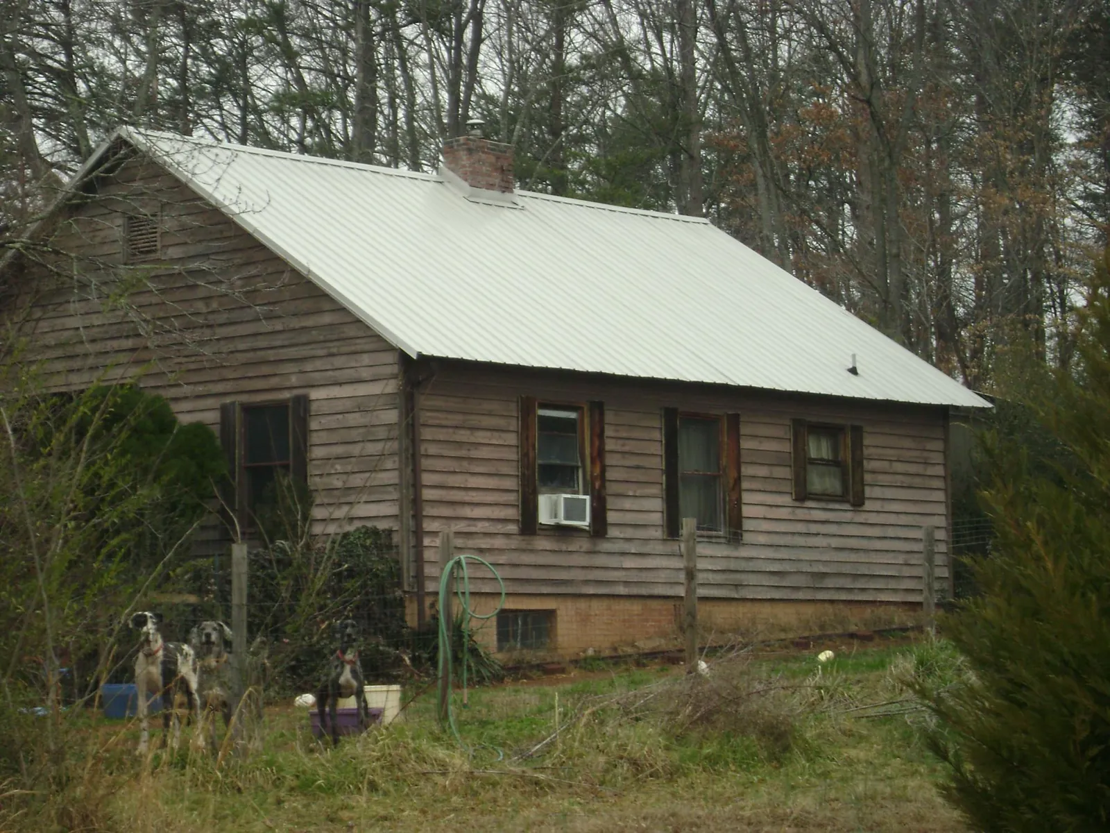White metal roof on an old wood sided farmhouse, from a Asphalt Shingle Roof Repair job in Smithton